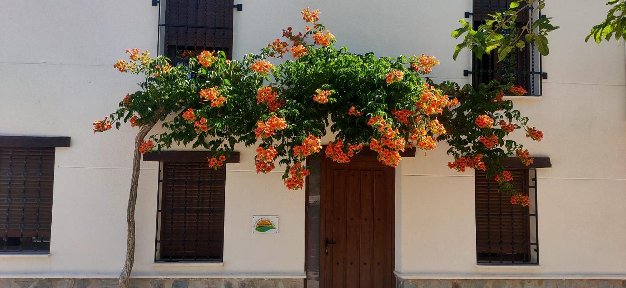 El Molino De Alatoz Villa Kültér fotó